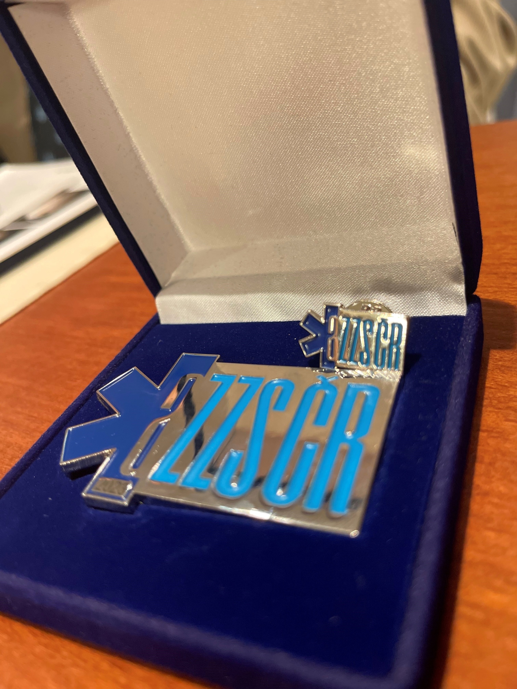 Ceny AZZS ČR za rok 2023